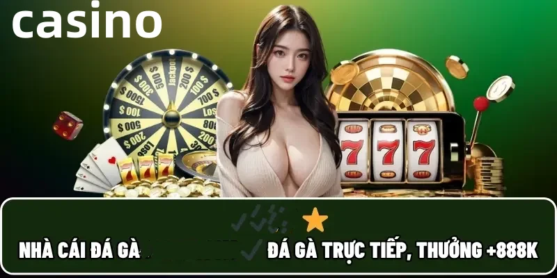 84win